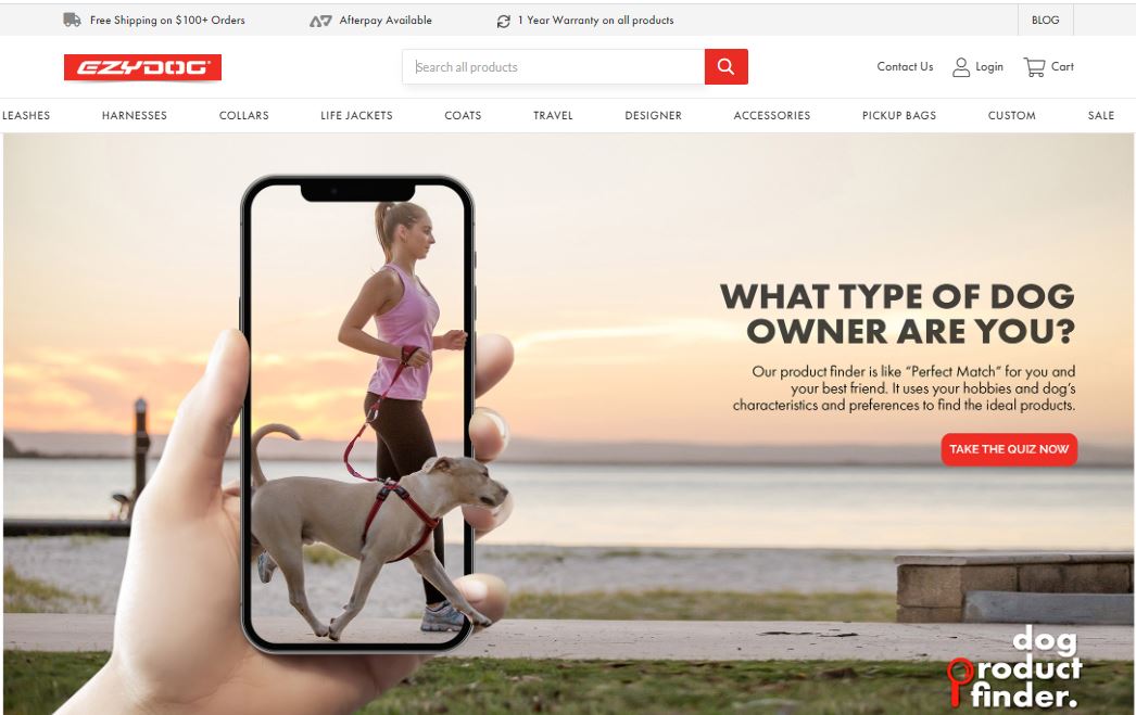 squarespace portfolios 