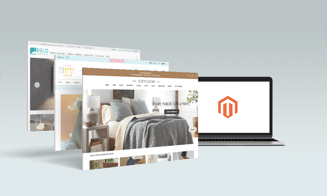 Magento developer