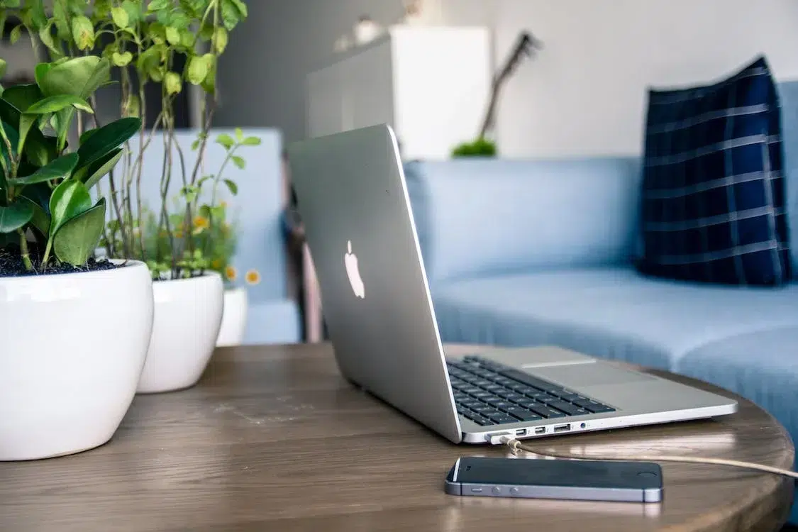 squarespace portfolios 
