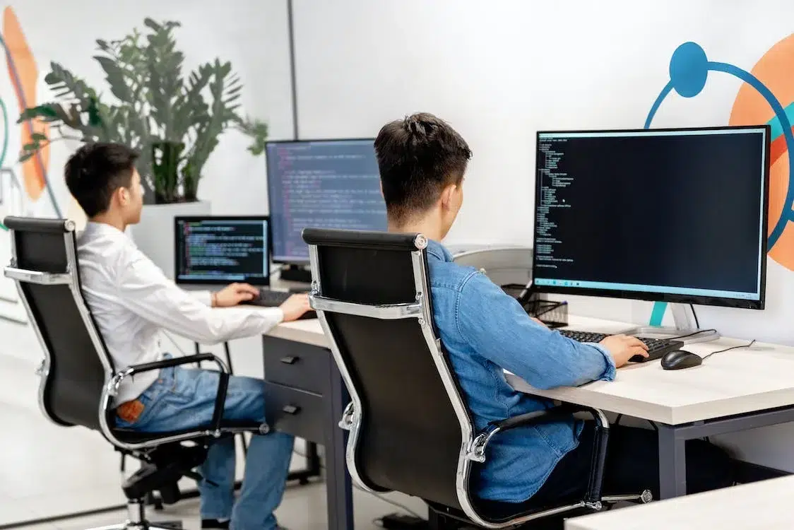 WordPress Theme Developers