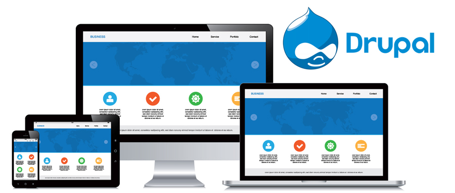 How to Hire Drupal Developers in 2024: The Ultimate Guide for Success hire Drupal developers