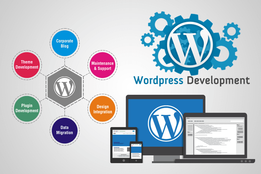 custom wordpress development