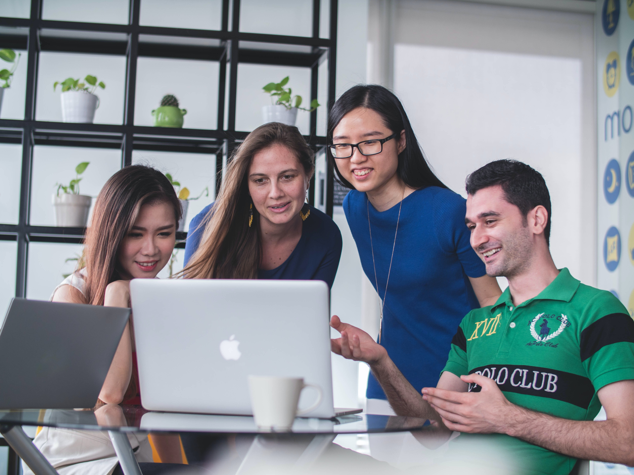 software development roles