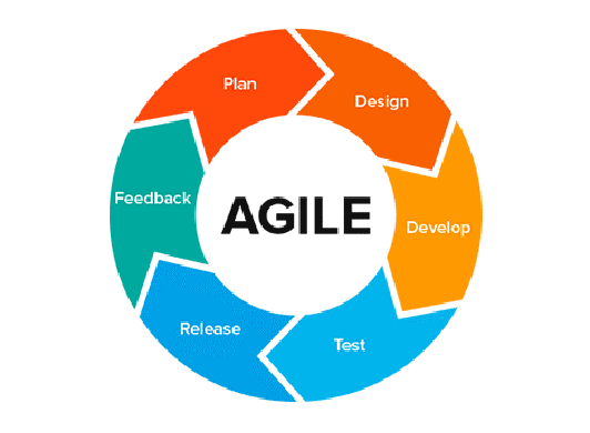 software development roles