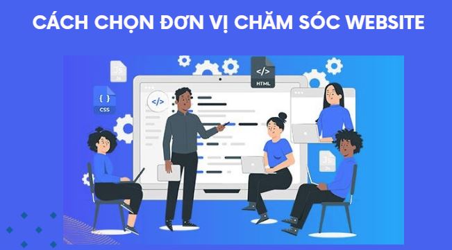 dịch vụ chăm sóc website