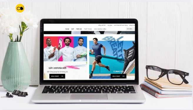 Website thể thao