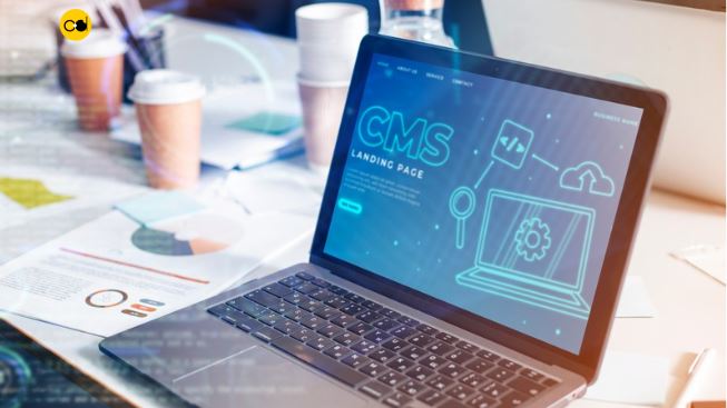 Strapi CMS
