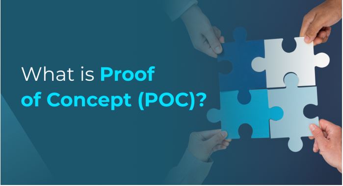 PoC in software development