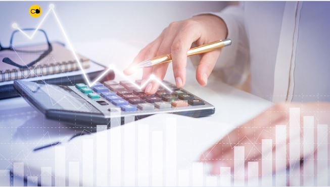 web portal development cost