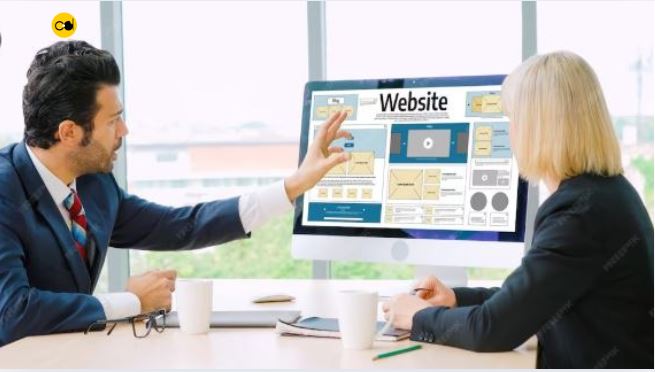 difference between website and web portal