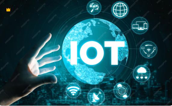 IoT Software Development